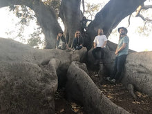 Load image into Gallery viewer, The Live Oaks – July 19, 2025 @ 7pm
