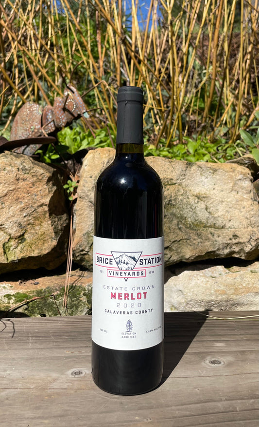 Merlot 2023